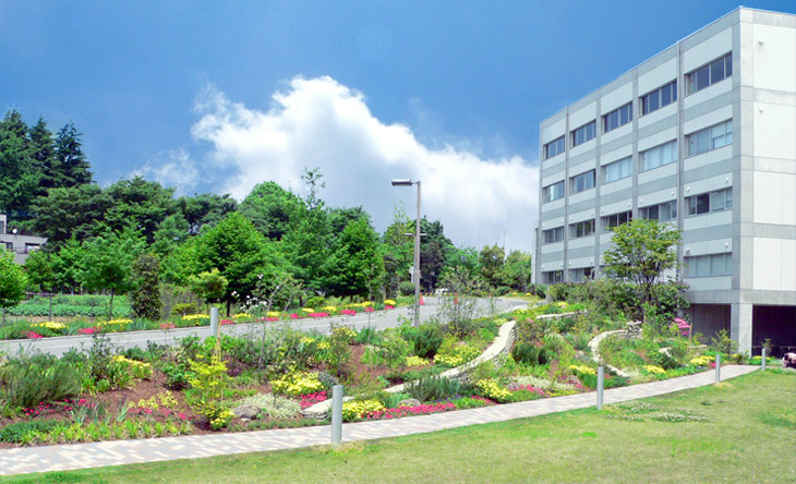 ハーブ庭園 人間総合科学大学